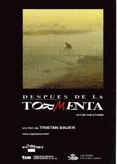 Póster de After the Storm