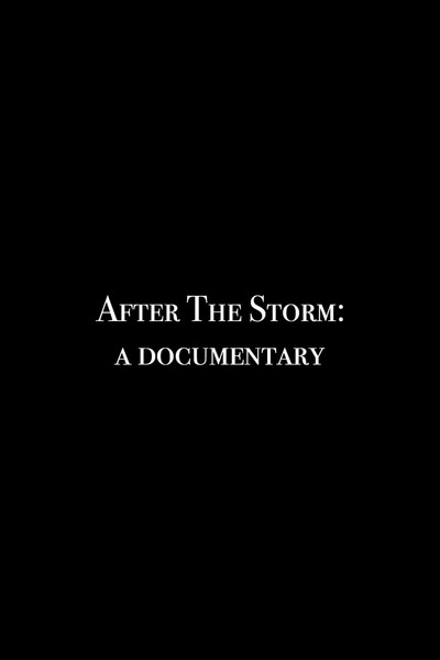 Póster de After The Storm: A Documentary