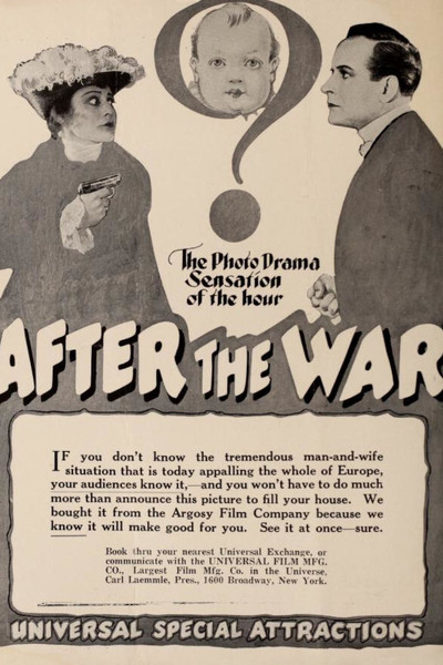 Póster de After the War