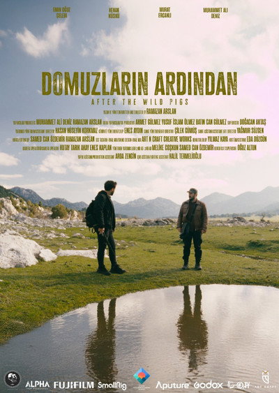 Póster de After the Wild Pigs