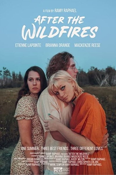 Póster de After the Wildfires