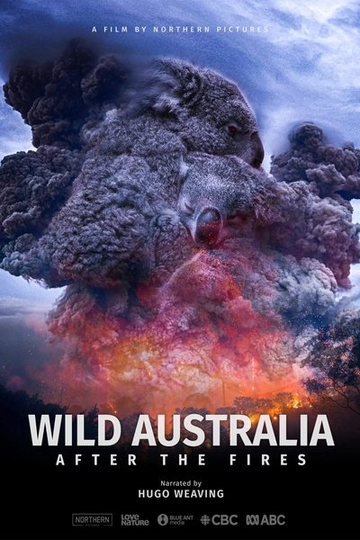 Póster de After the Wildfires