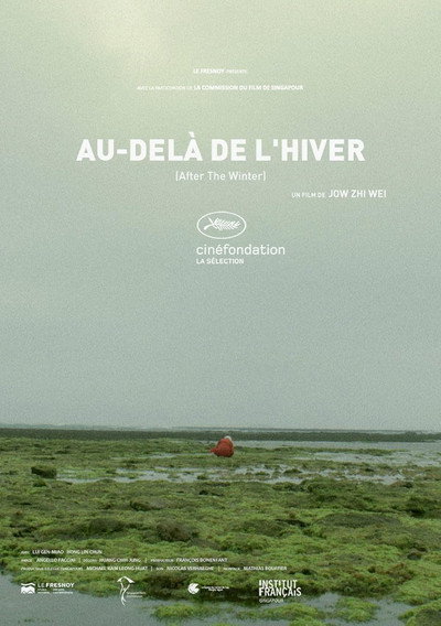 Póster de After the Winter