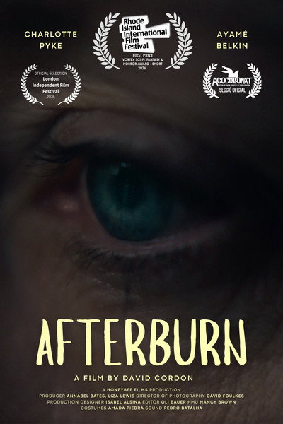 Póster de Afterburn