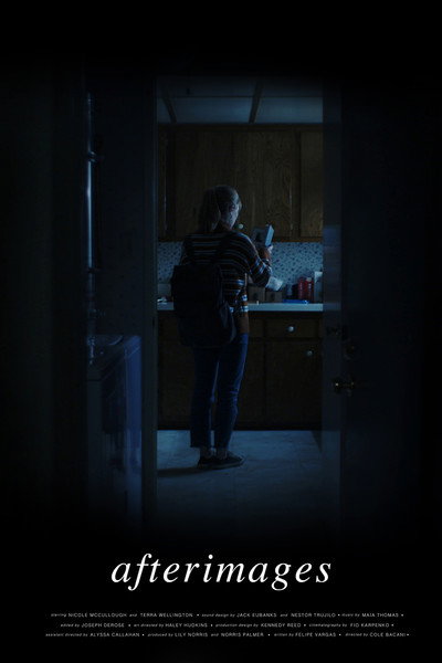 Póster de Afterimages