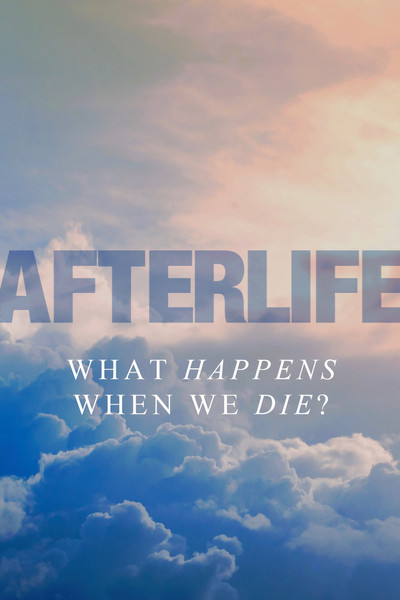 Póster de Afterlife