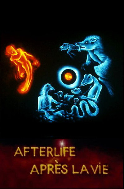 Póster de Afterlife