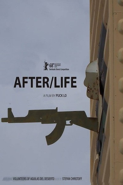 Póster de After/Life
