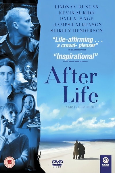 Póster de AfterLife