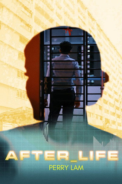 Póster de After_life