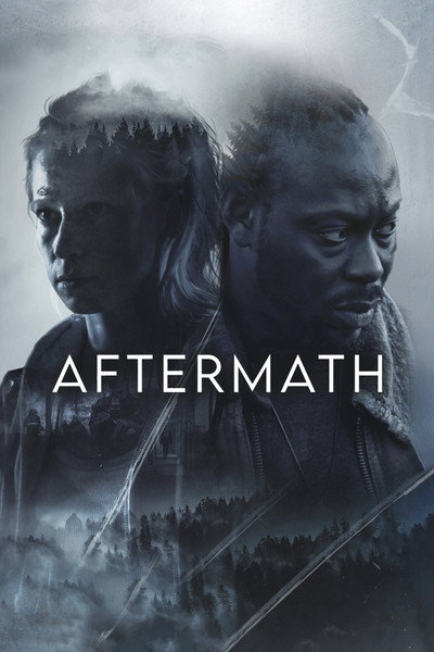 Póster de Aftermath