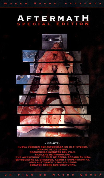 Póster de Aftermath