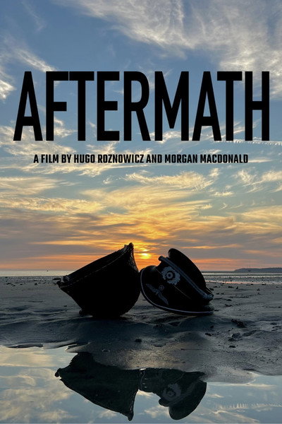 Póster de Aftermath