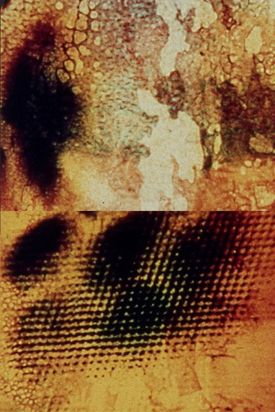 Póster de Aftermath