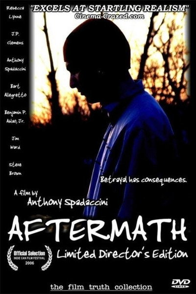 Póster de Aftermath
