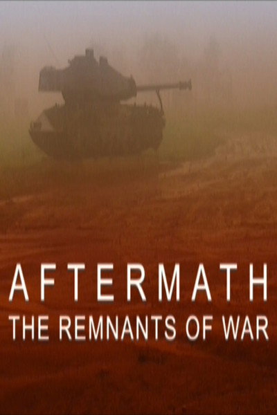 Póster de Aftermath: The Remnants of War