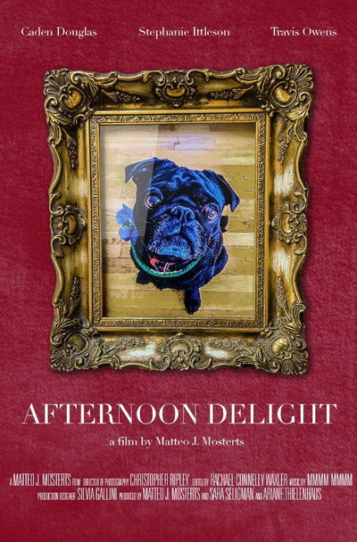 Póster de Afternoon Delight