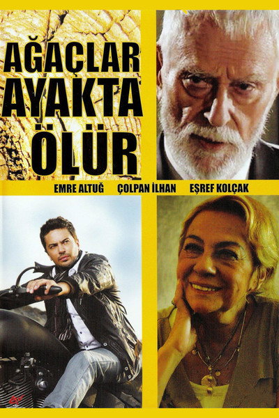Póster de Agaçlar Ayakta Ölür