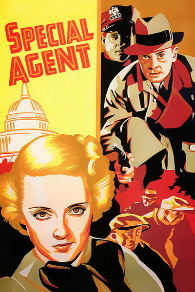 Póster de Agente especial