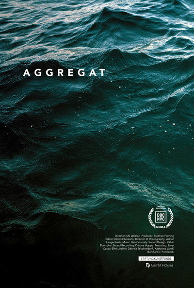 Póster de Aggregat