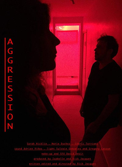 Póster de Aggression