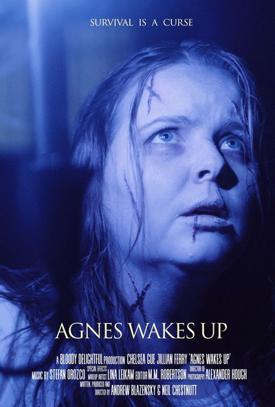 Póster de Agnes Wakes Up