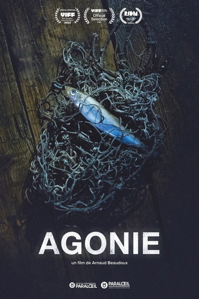 Póster de Agony