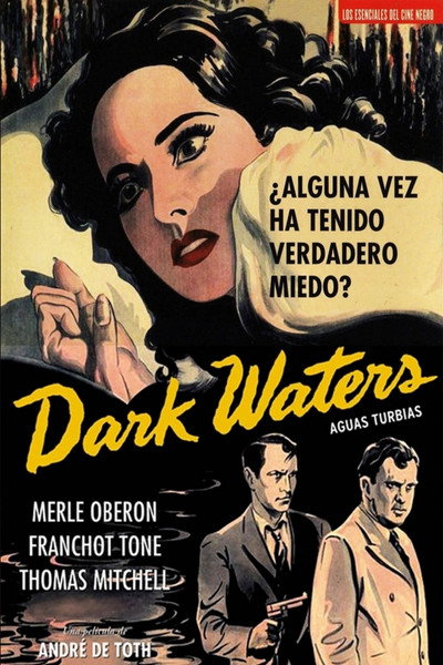 Póster de Aguas turbias