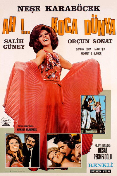 Póster de Ah Koca Dünya