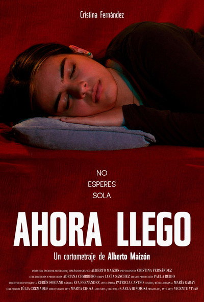 Póster de Ahora llego