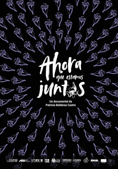 Póster de Ahora que estamos juntas