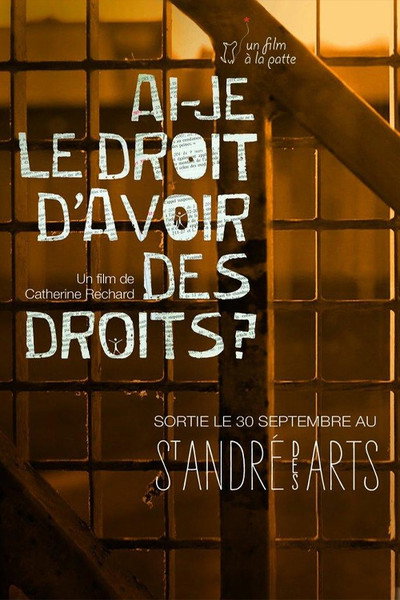 Póster de Ai-je le droit d'avoir des droits?