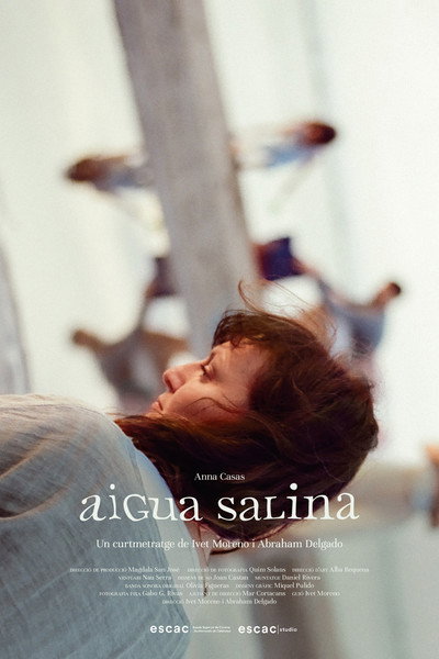 Póster de Aigua Salina