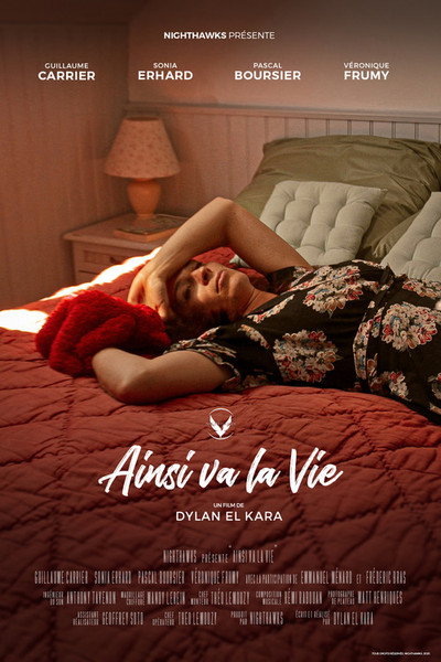 Póster de Ainsi va la vie