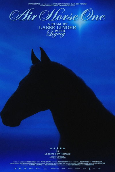 Póster de Air Horse One