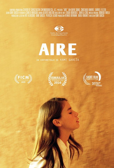 Póster de Aire