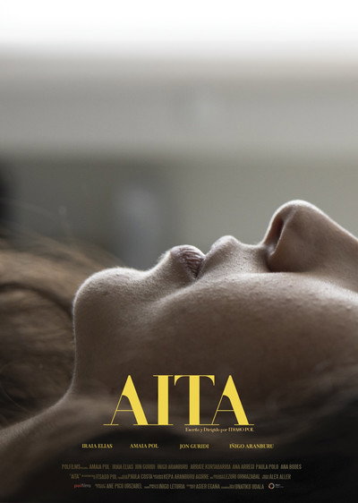 Póster de AITA