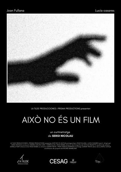 Póster de Això no és un film