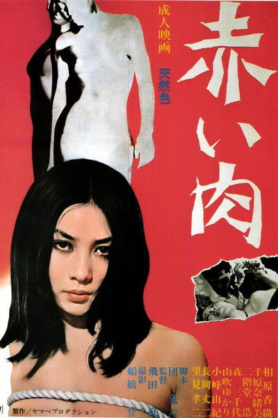 Póster de Akai niku