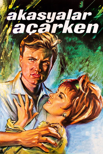 Póster de Akasyalar açarken