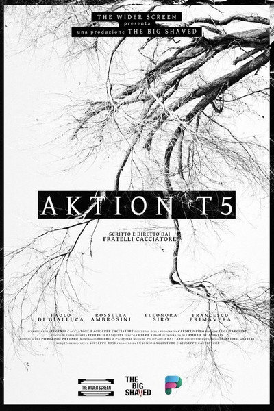 Póster de Aktion T5