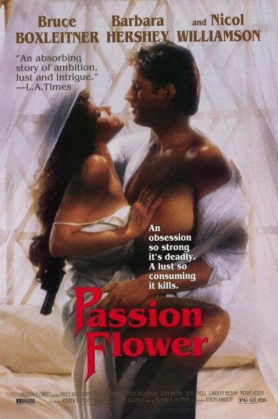 Póster de Al final del amor