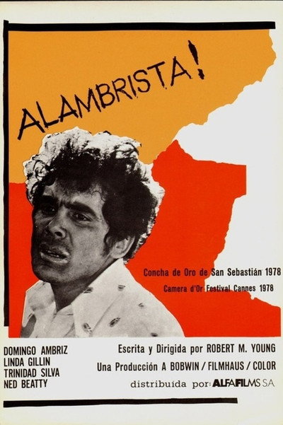 Póster de Alambrista!