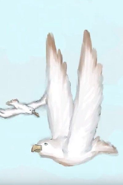Póster de Albatros