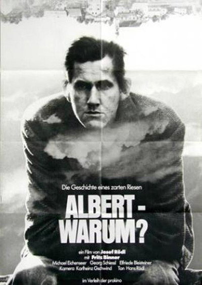 Póster de Albert - Why?