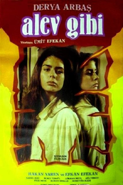 Póster de Alev Gibi