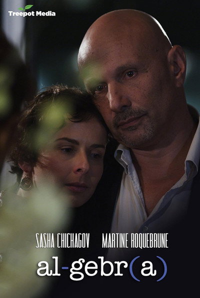 Póster de Algebra: A Reunion of Broken Parts