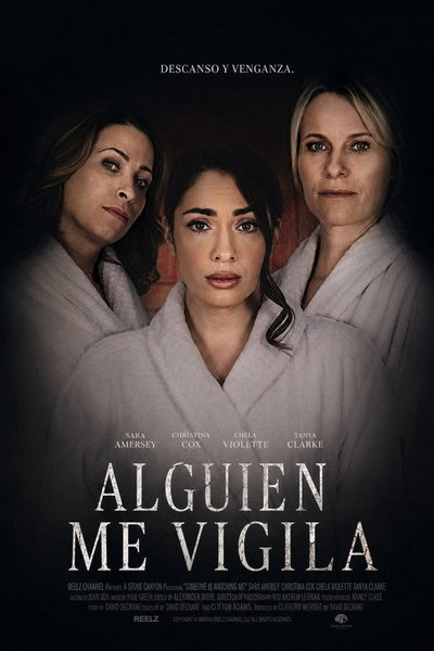 Póster de Alguien me vigila