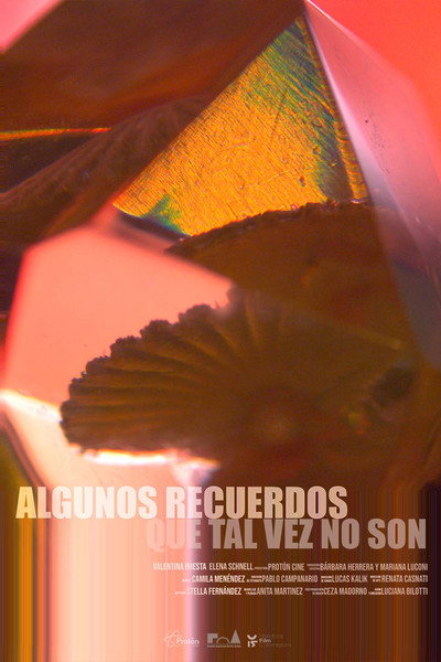 Póster de Algunos recuerdos que tal vez no son