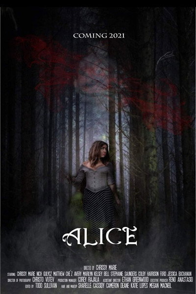 Póster de Alice